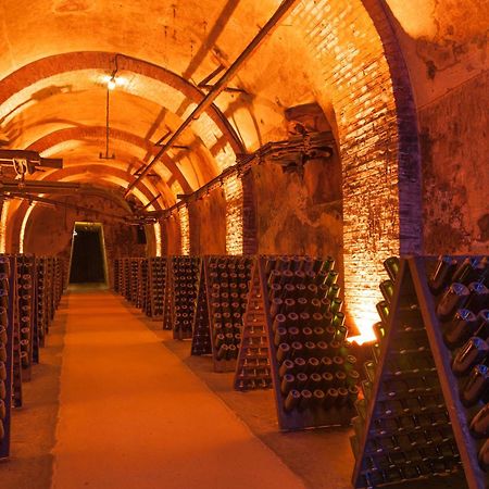 Champagne Central - Exceptionnel 3 Chambres Remeš Exteriér fotografie